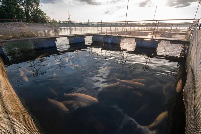 通州养殖污水处理
